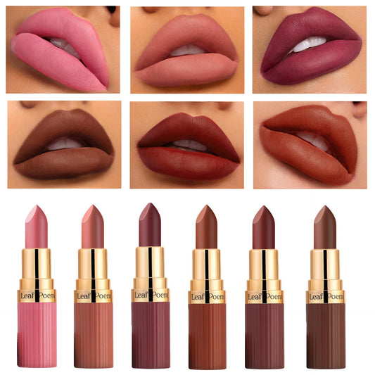 6 Colors Matte Waterproof Velvet Nude Lipstick Sexy Red Brown Pigments Long Lasting Profissional Makeup Cosmetics