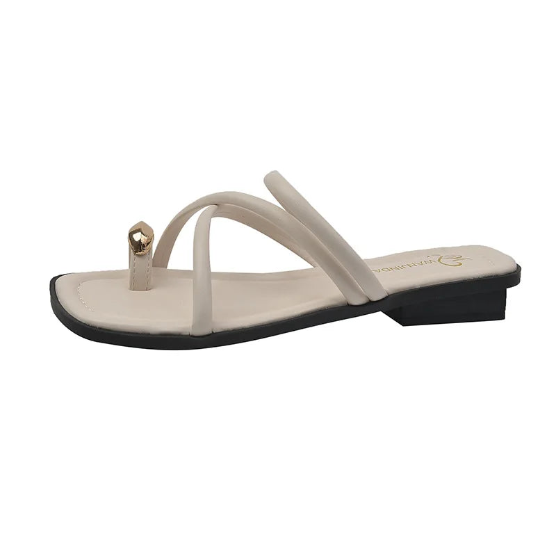 Women Summer Slippers Ladies Sandals Metal Decor Thong Flip Flop Low Heel Shoes Woman Outdoor Retro Brown Sandals Female