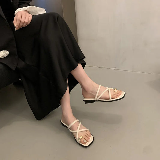 Women Summer Slippers Ladies Sandals Metal Decor Thong Flip Flop Low Heel Shoes Woman Outdoor Retro Brown Sandals Female