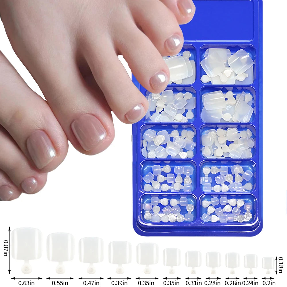GlossyFit 144pcs Press-On Square Toenails – Full Coverage Glam in 4 Elegant Colors | غلام تو نيل – ١٤٤ ظفر صناعي قصير بتصميم مربع وألوان أنيقة
