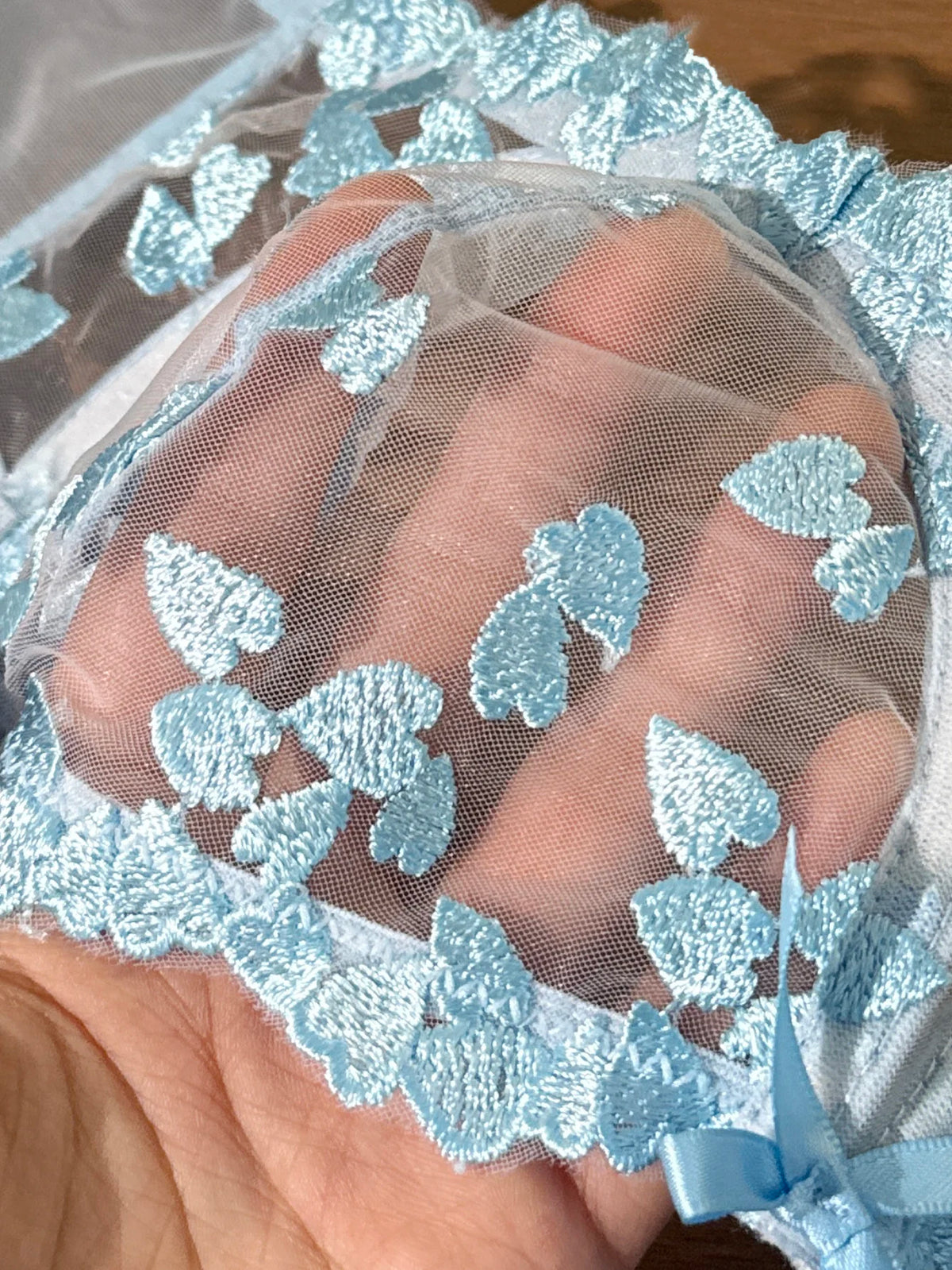 French Romantic Dreamy Light Blue Heart Embroidery Lace Underwear Set with Transparent Mesh Butterfly Knot Shoulder Strap Design