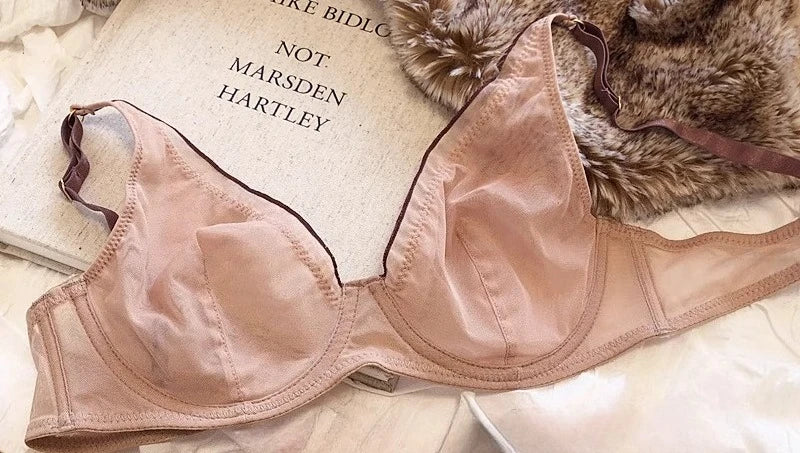 Minimizer Bra Plus Size Underwire French Style Triangle Cup Push Up Mesh Sensual Lingerie Set Support 32-40 MOYISU Bra Set S-2XL