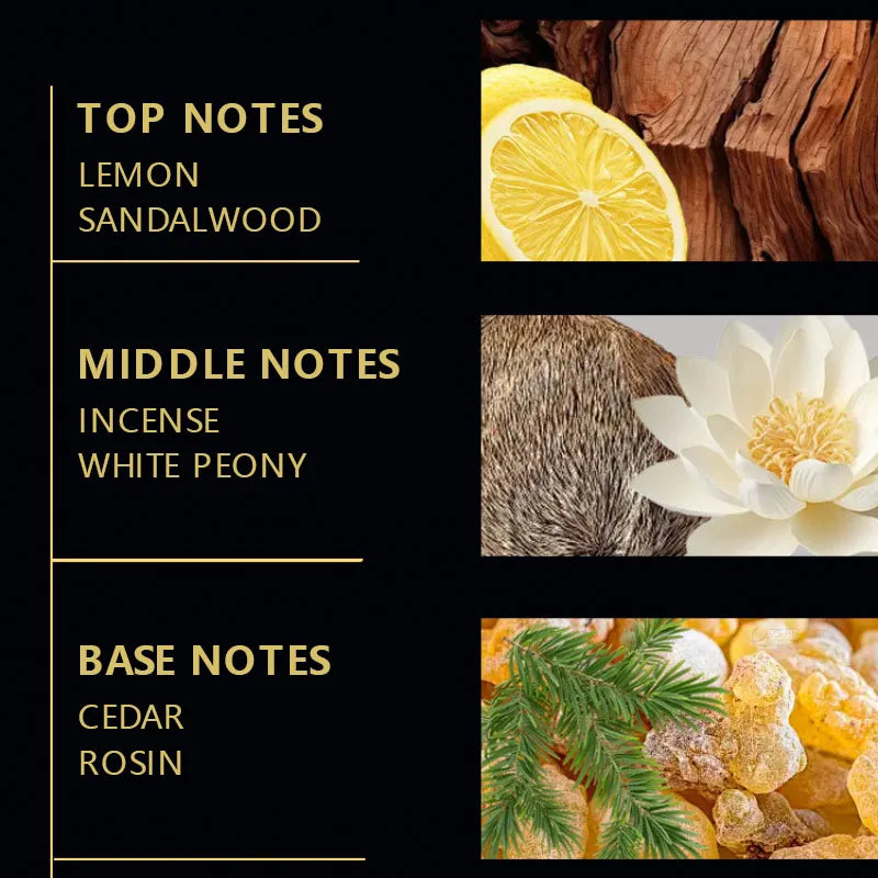 Unisex Brandy Middle Eastern Perfume French Creative Brandy La Colección De Perfumes Long-lasting Romance Eau De Parfum Spray