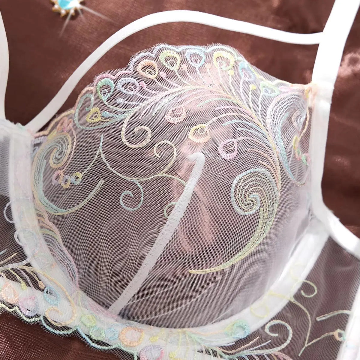 Iridescent Peacock Feather Lace Lingerie Set for Women - Sexy Sheer Mesh Push Up Bra and Thong Panty 2 Piece Underwear Sets