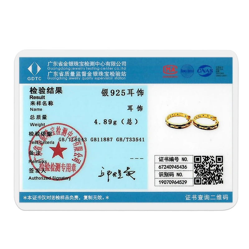 925 Silver Hoop Earring For Woman Rose Gold Yellow Pendientes Original Minimalist Earring Jewelry