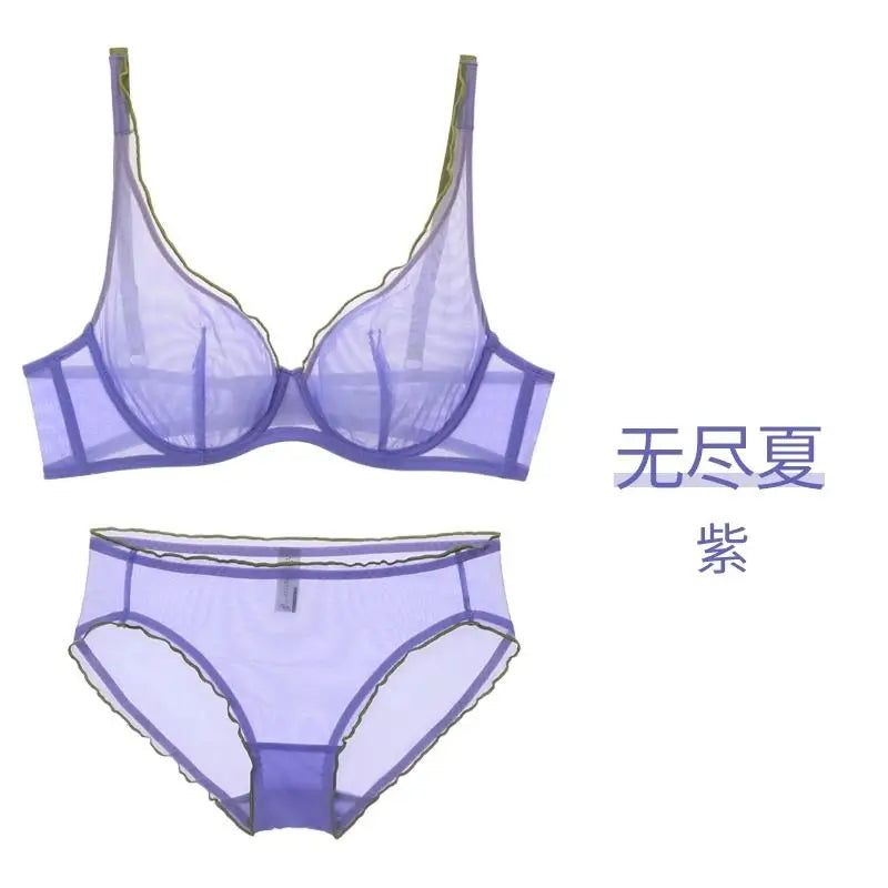Minimizer Bra Plus Size Underwire French Style Triangle Cup Push Up Mesh Sensual Lingerie Set Support 32-40 MOYISU Bra Set S-2XL