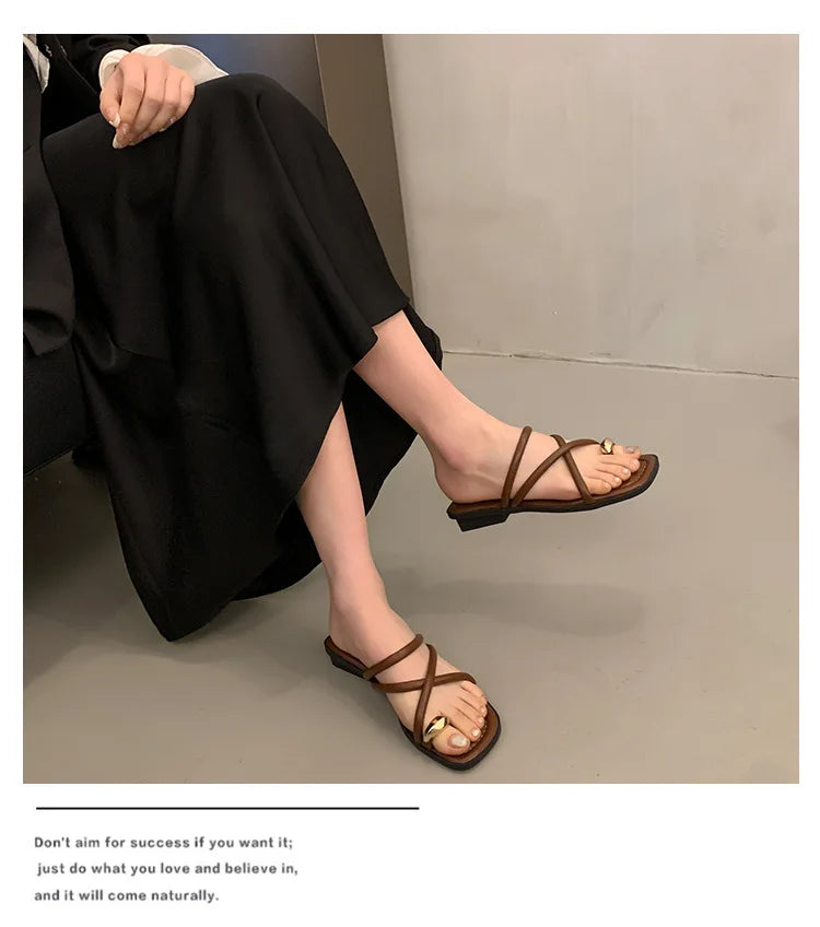 Women Summer Slippers Ladies Sandals Metal Decor Thong Flip Flop Low Heel Shoes Woman Outdoor Retro Brown Sandals Female